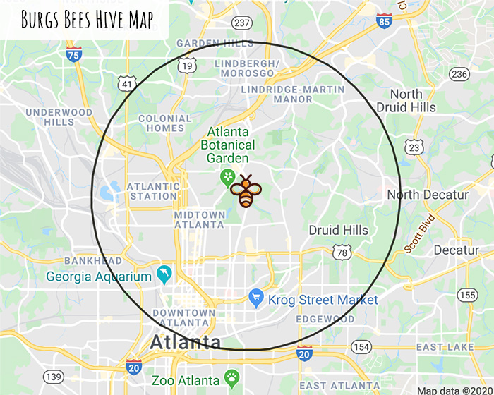 Beehive Map Atlanta Georgia Burgs Bees Honey
